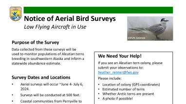 Notice of Aerial Bird Surveys - Low flying aircraft in use