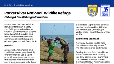 Parker River Fishing Information