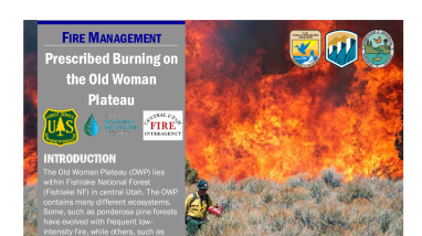 Prescribed Burn Old Woman Plateau Handout