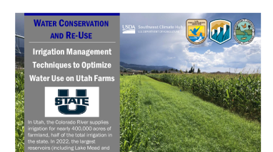 Irrigation Management to Optimize Water Handout