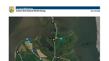 Eastern Neck Deer Hunt Map
