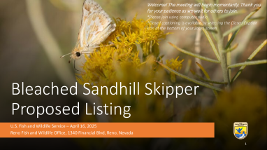 Bleached sandhill skipper proposed listing public hearing presentation