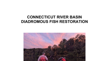 Connecticut River Basin Diadromous Fish Restoration 2025 Annual Progress Report