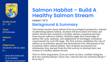 Build A Healthy Salmon Stream Lesson Plan