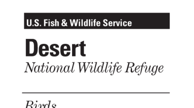 Desert NWR - Bird List