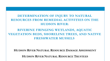 Determination of Injury to Natural Resources from Remedial Activities on the Hudson River: Riverine Fringing Wetlands, Aquatic Vegetation Beds, Shoreline Trees, and Native Freshwater Mussels