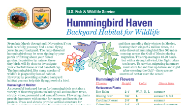 HummingbirdHaven.pdf