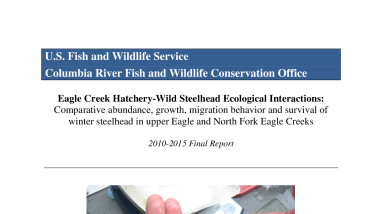 Eagle Creek Hatchery-Wild Steelhead Ecological Interactions: Comparative abundance, growth, migration behavior and survival of winter steelhead in upper Eagle and North Fork Eagle Creeks