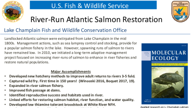 LCFWCO - 2022 River Run Salmon Fact Sheet