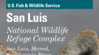 San Luis NWR Complex Mammal Brochure