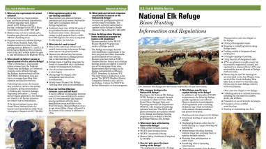 2021 Bison Hunt Regulations