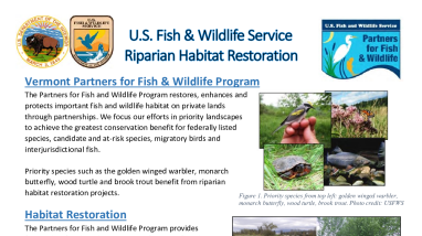 USFWS_RiparianRestorationProgramSummary_2021.pdf