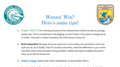 Wanna-Win-JDS-Tips