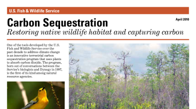 Carbon Sequestration Southeast