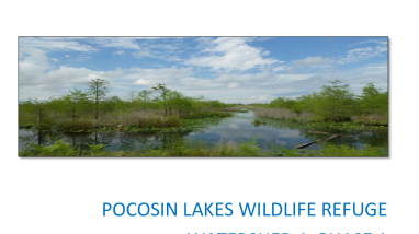 Pocosin Lakes Wildlife Refuge Watershed 1, Phase 1 Hydrology Modeling Study