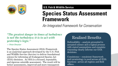Species Status Assessment Fact Sheet