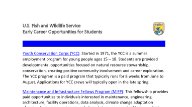 Early Career Opportunities for Students