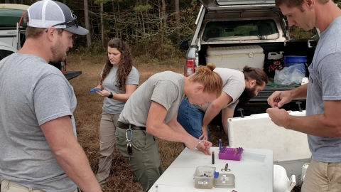 Two men stand over a table holding small fish, another reaches into an open cooler, a woman walks behind them and one man looking at the work. They are outdoors with two vehicles behind them and trees in the background