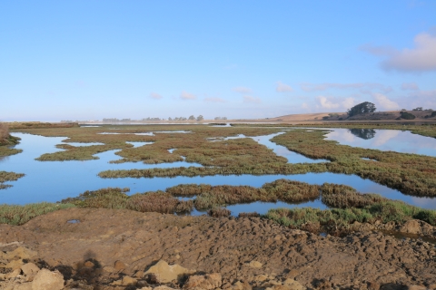 View of California's Elkhorn Slough 