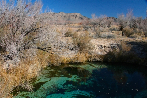 desert landscape with greenish pool of water