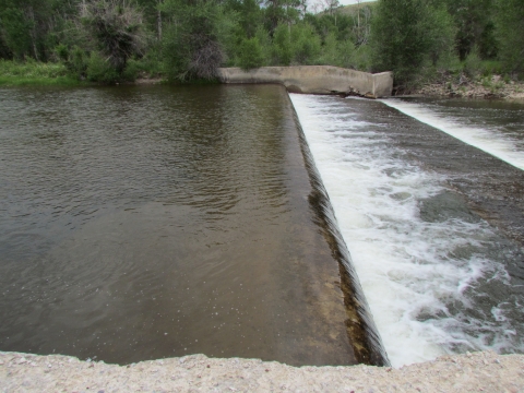 green tinted water rushing over a dam 