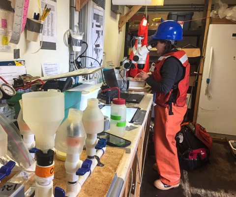 A woman wearing orange pants and a red life vest and blue helmet looks through a microscope in a small laboratory onboard a ship.