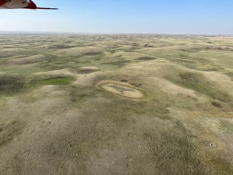 View of grasslands and dry wetlands 