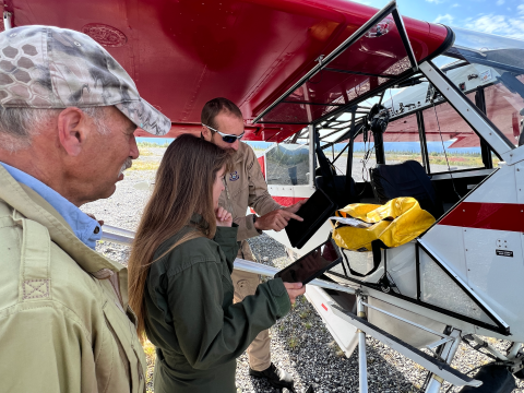 Three people stand under the wing of a Top Cub bush plane as they look at two tablets showing flight maps as they coordinate during a dall sheep survey.