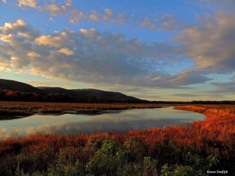 Wallkill River National Wildlife Refuge at Sunrise
