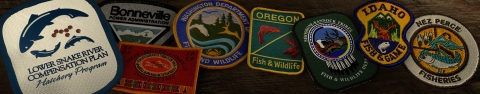 Images of patches of partner agencies within the Lower Snake River Compensation Plan Program