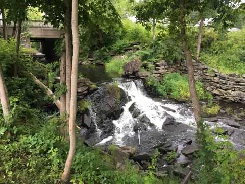 A river flows over rocks. A bridge is in the background. A rock wall runs along the water.