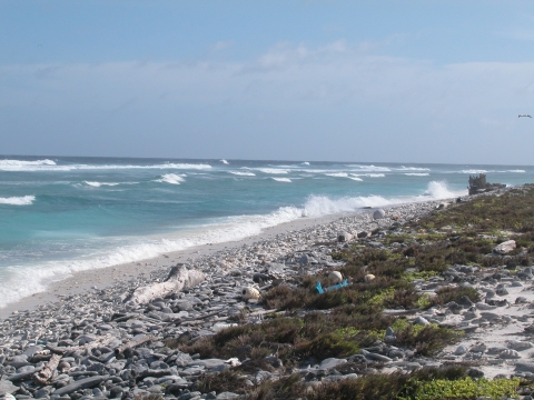 Blue waves crash upon the rocky shores of Howland. There are blue skies are in the background, and green shrubs line the shores.