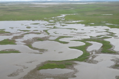 wetlands and ponds 