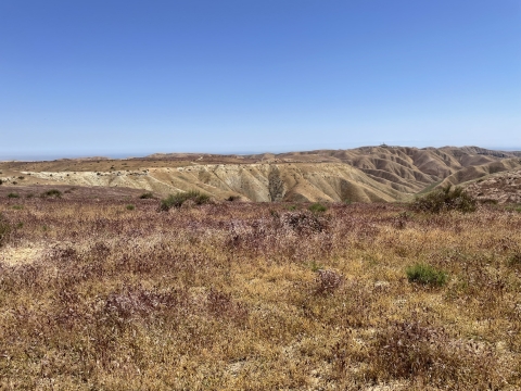 a plateau covered in dry yellow grass extends into the distance