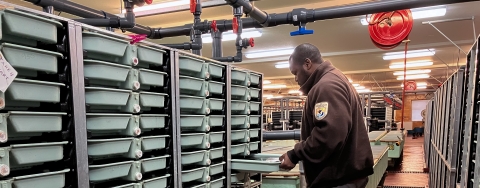 A man looking inside of a tray inside of a fish hatchery