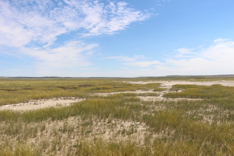Patches of bare white alkali soil are interspersed with grassy areas under blue skies with white wispy clouds.