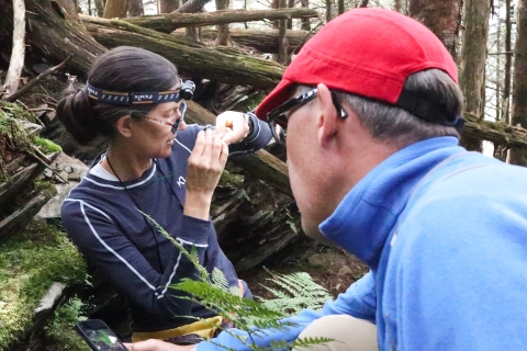 Two people in a forest, one holding a phone, the other examining a fish with a hand lens