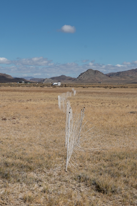 An electric fence extends backwards in a sagebrush landscape