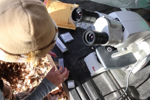 Person standing outdoors holding a microscope slide