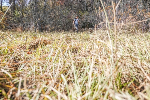 Lone person walking through a wide grassy area