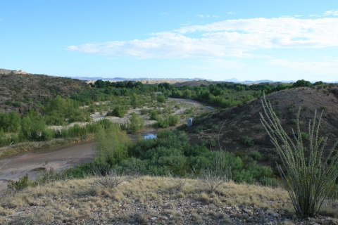 A creek surrounded by vegetation