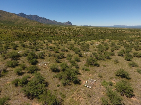 A field with lots of shrubs and mountains in the distance