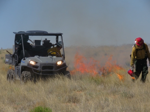 Two firefighters working on a prescribed burn in a grassland, one of the firefighters is in a vehicle