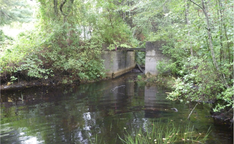 Looking Upstream at a Water-Control Structure Before its Removal