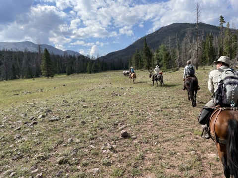Four pack horses and riders headed into Utah's rugged high country