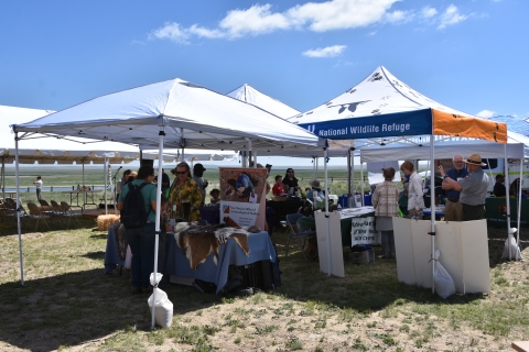 Shade tents with activities set up in a field, staffed by wildlife refuge staff and partners