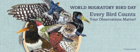7 birds on 2026 world migratory bird day graphic