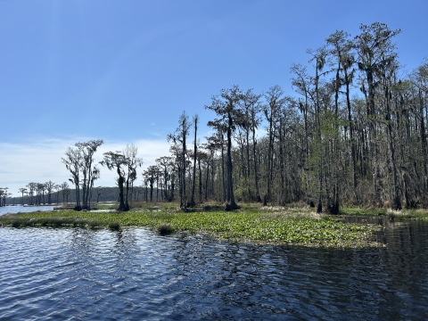 Banks Lake NWR