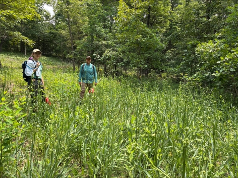 Two people standing in a field of green vegetation with trees in the background