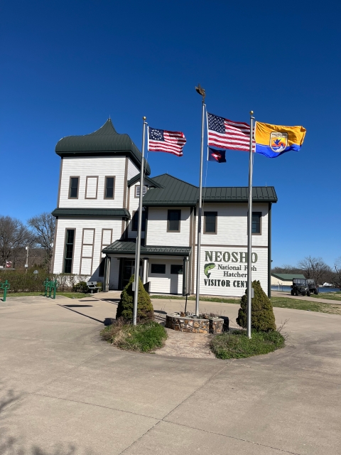 2 U.S. flags, USFWS flag, fish pennant on flagpoles in front of fancy, old-timey building with sign “Neosho National Fish Hatchery Visitor Center”